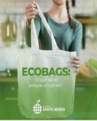 ECOBAGS :O que são e poruqe utiliza-los ?