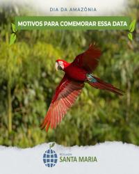 Dia da Amazônia