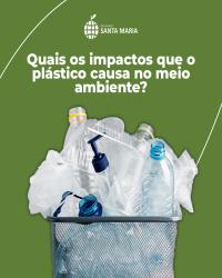 Quais os impactos que o plástico causa no meio ambiente?